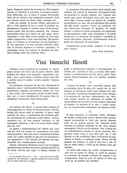 Giornale vinicolo italiano