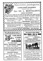 giornale/TO00185283/1917/unico/00001018