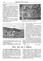 giornale/TO00185283/1918/unico/00000194