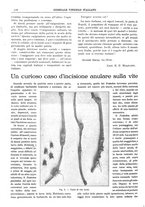 giornale/TO00185283/1919/unico/00000136