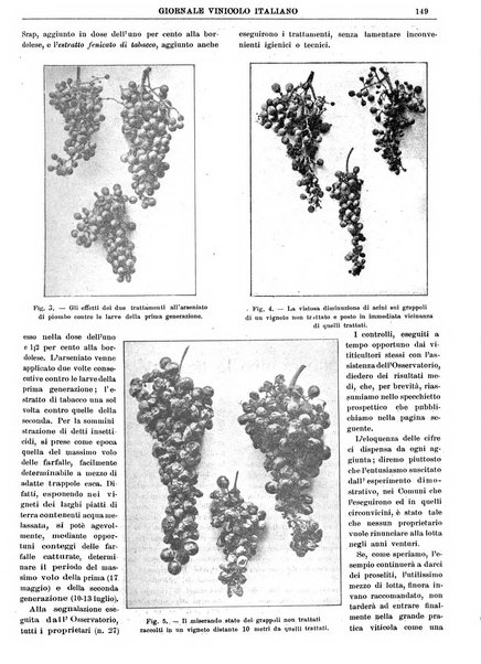 Giornale vinicolo italiano