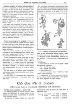 giornale/TO00185283/1920/unico/00000329