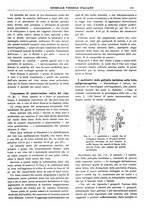 giornale/TO00185283/1920/unico/00000353