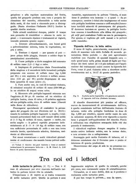 Giornale vinicolo italiano