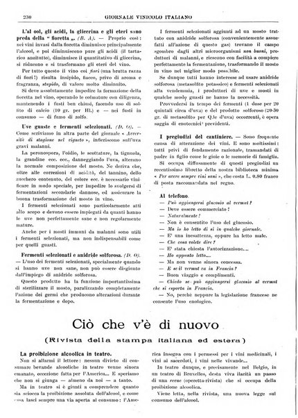 Giornale vinicolo italiano