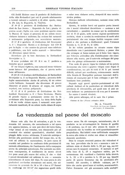 Giornale vinicolo italiano