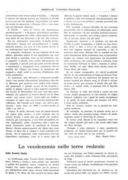 Giornale vinicolo italiano