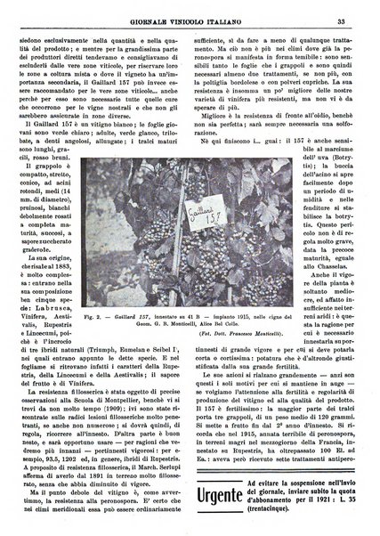 Giornale vinicolo italiano