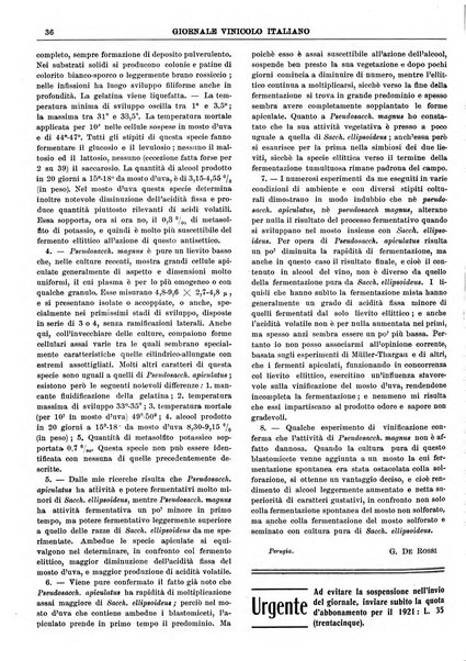 Giornale vinicolo italiano