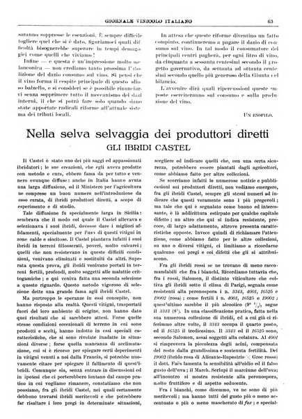 Giornale vinicolo italiano