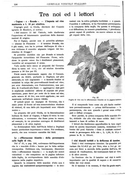 Giornale vinicolo italiano