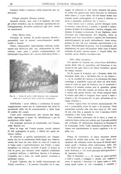 Giornale vinicolo italiano