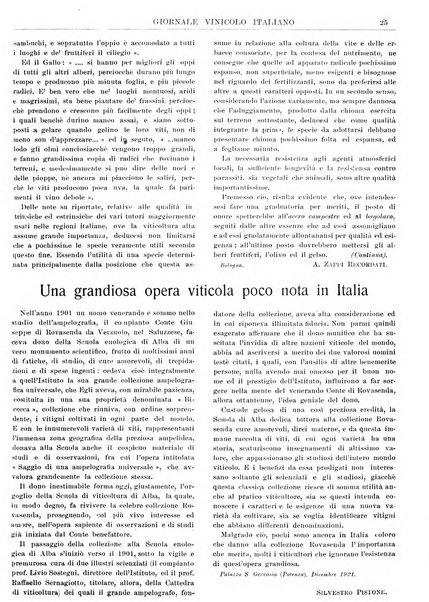 Giornale vinicolo italiano