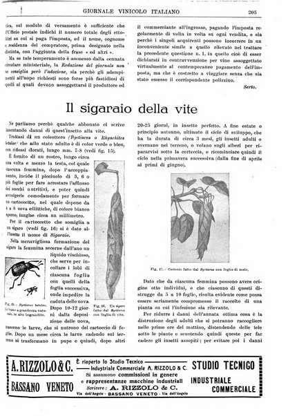 Giornale vinicolo italiano