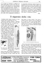 giornale/TO00185283/1922/unico/00000291