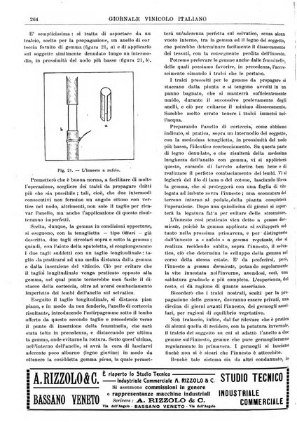 Giornale vinicolo italiano