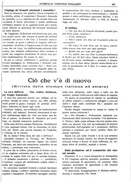 Giornale vinicolo italiano