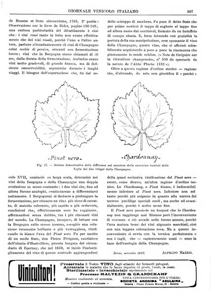 Giornale vinicolo italiano