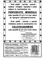 giornale/TO00185283/1922/unico/00000724