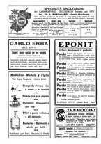 giornale/TO00185283/1923/unico/00000050