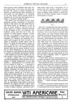 giornale/TO00185283/1923/unico/00000099