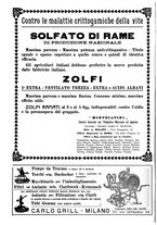 giornale/TO00185283/1923/unico/00000186
