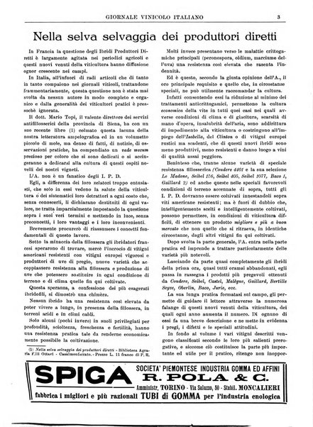 Giornale vinicolo italiano