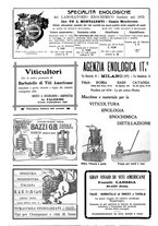 giornale/TO00185283/1924/unico/00000022