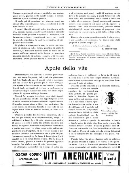 Giornale vinicolo italiano