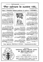 giornale/TO00185283/1924/unico/00000231
