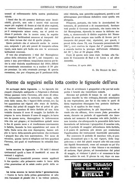 Giornale vinicolo italiano