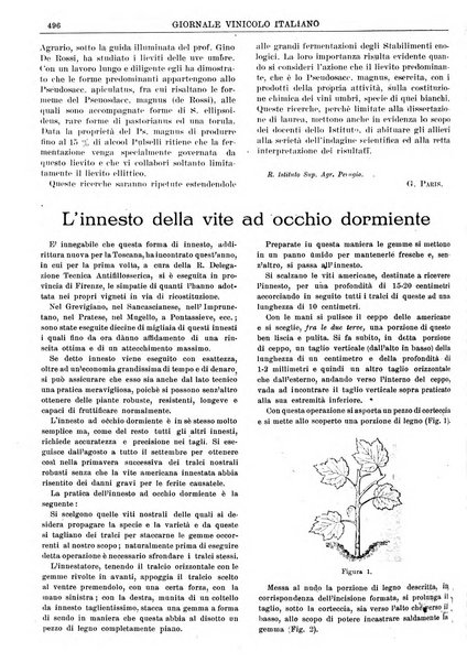 Giornale vinicolo italiano