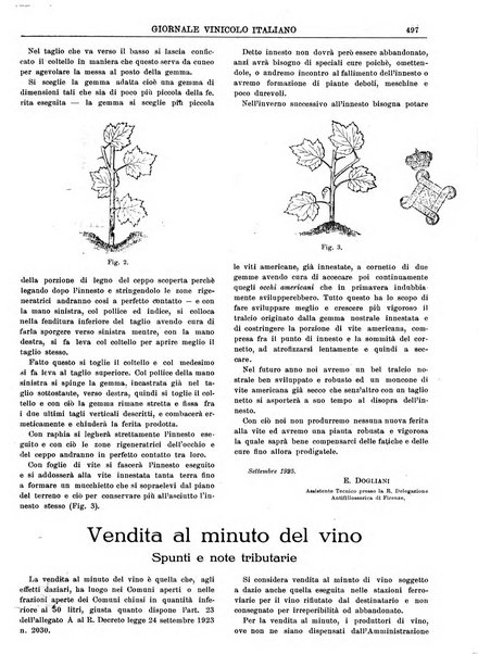 Giornale vinicolo italiano