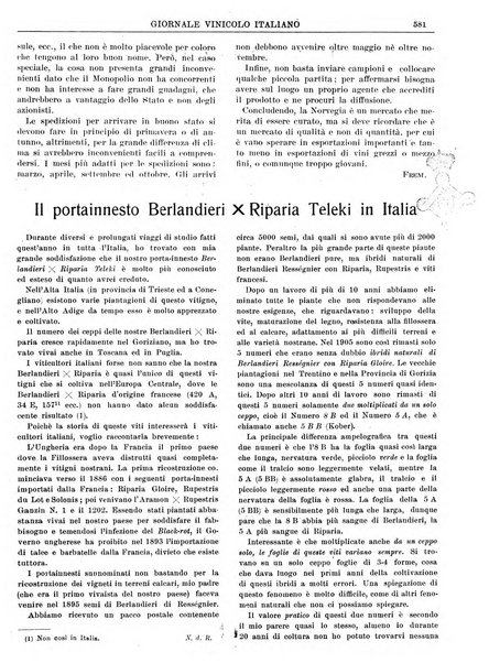 Giornale vinicolo italiano