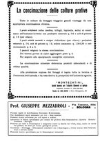 giornale/TO00185283/1926/unico/00000146