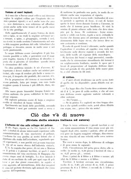 Giornale vinicolo italiano