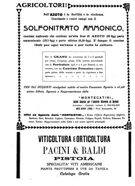 Giornale vinicolo italiano