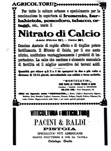 Giornale vinicolo italiano