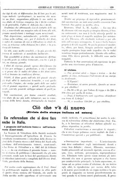 Giornale vinicolo italiano