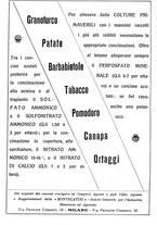 giornale/TO00185283/1929/unico/00000304