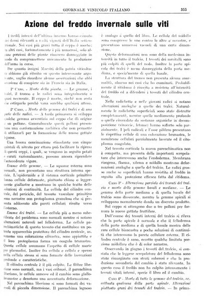 Giornale vinicolo italiano