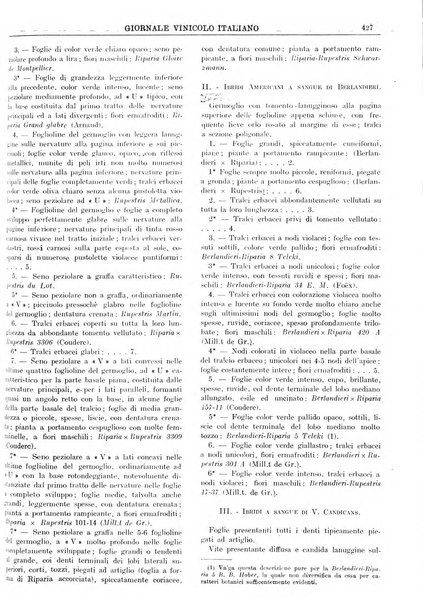 Giornale vinicolo italiano