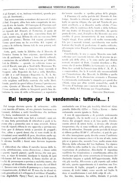 Giornale vinicolo italiano