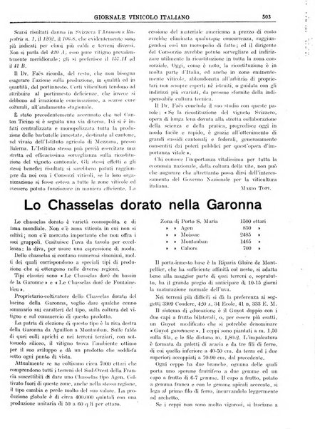 Giornale vinicolo italiano