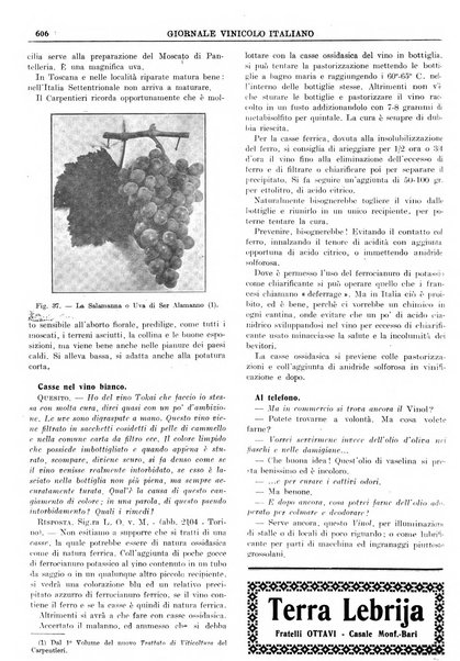 Giornale vinicolo italiano