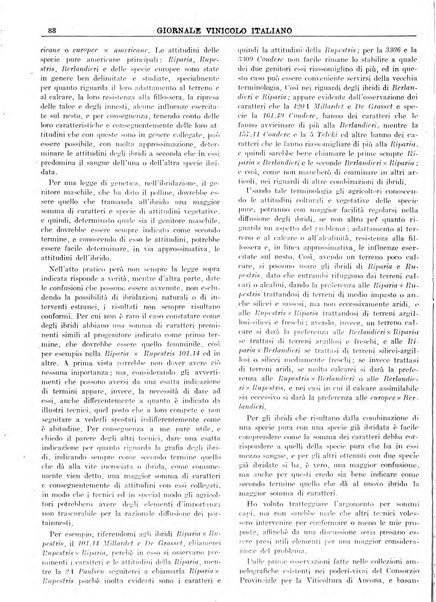 Giornale vinicolo italiano