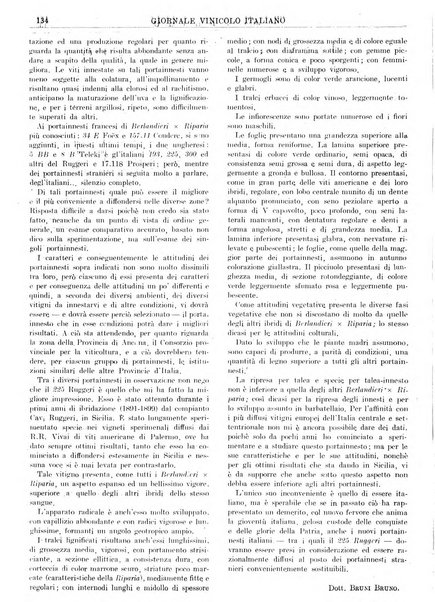 Giornale vinicolo italiano