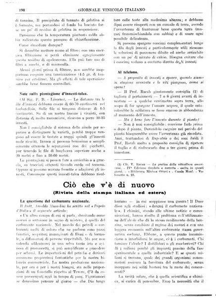 Giornale vinicolo italiano