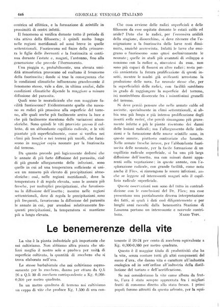 Giornale vinicolo italiano