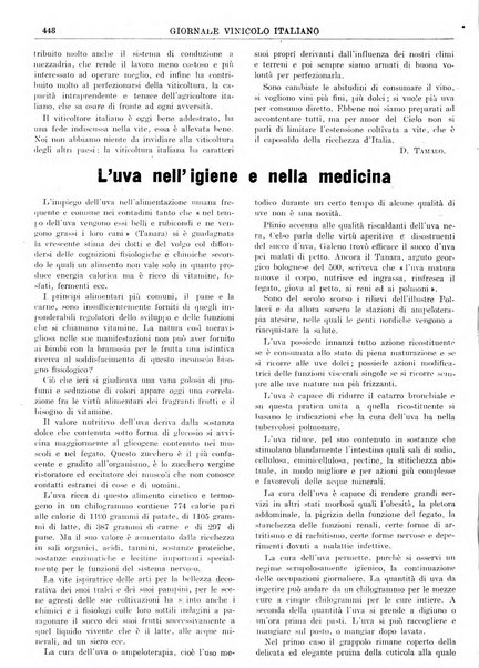 Giornale vinicolo italiano